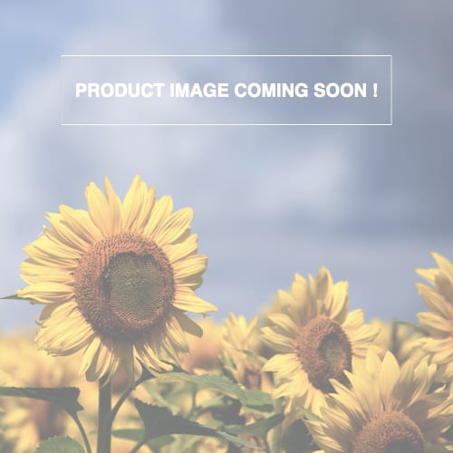 Product Soon -