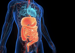 Ayurvedic Spring Cleanse -