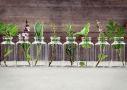 Ayurveda Meaning -